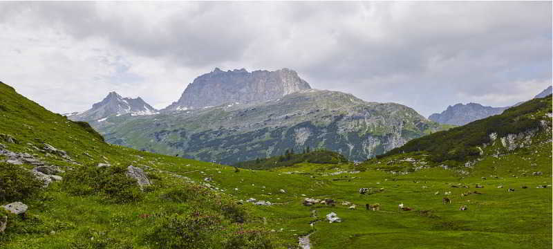 Hotel Sonnblick Wald am Arlberg Eksteriør billede