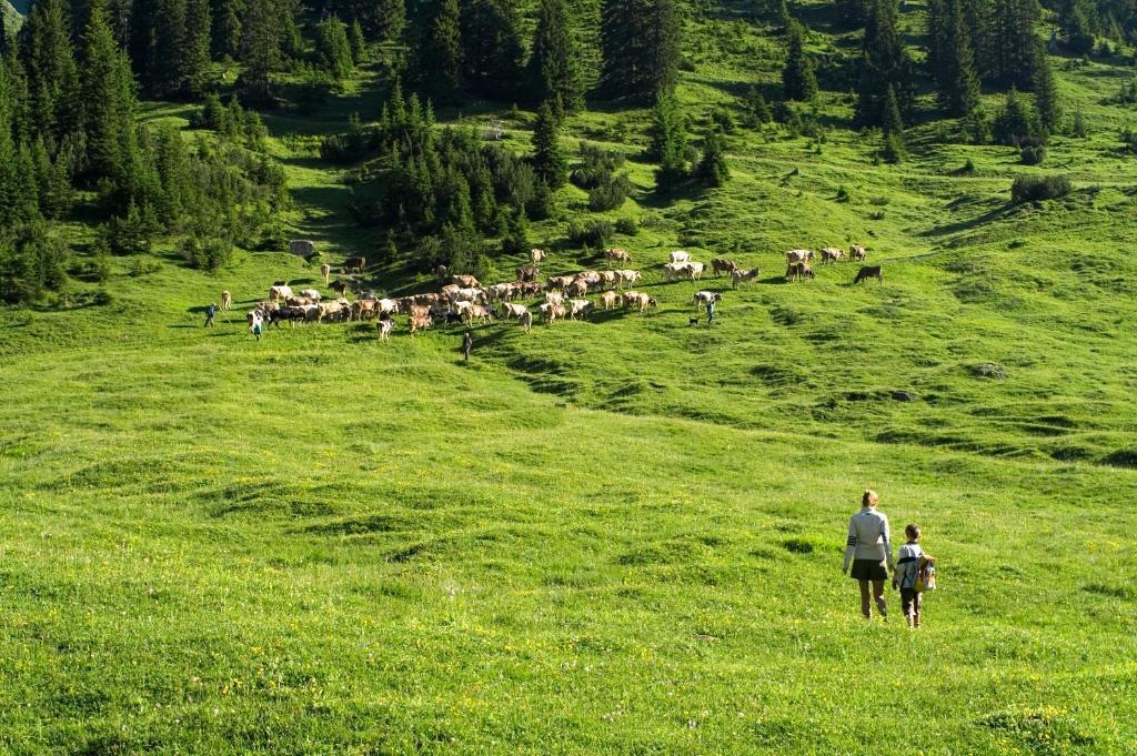 Hotel Sonnblick Wald am Arlberg Eksteriør billede